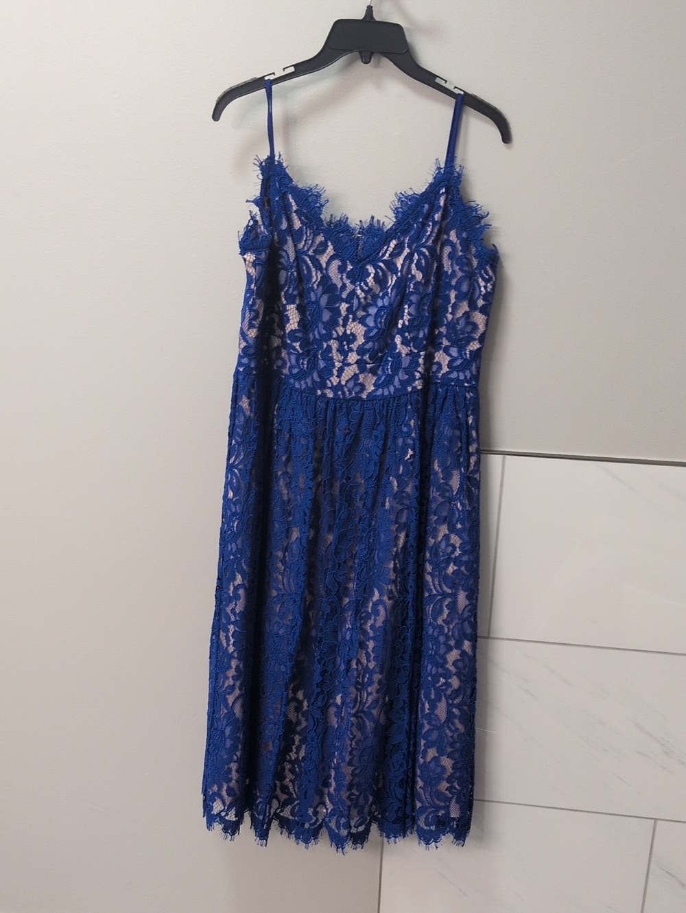 Eliza J Blue Lace Dress with Nude Lining